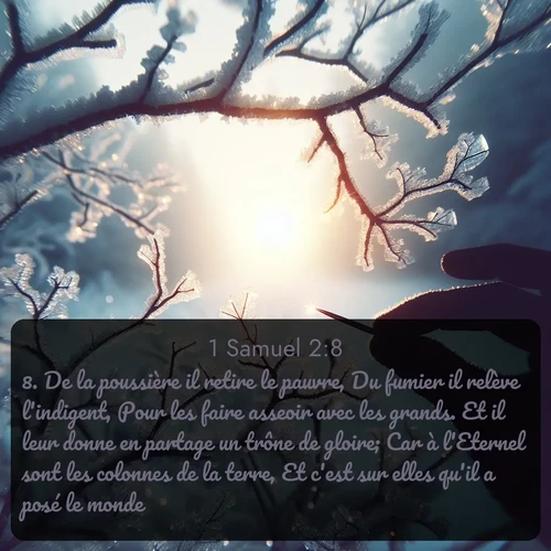 Segond 1 Samuel  ; image nature: image avec le verset biblique :De la poussière il retire le pauvre, Du fumier il relève l&#039;indigent, Pour les faire asseoir avec les grands. Et il leur donne en partage un trône de gloire; Car à l&#039;Eternel sont les colonnes de la terre, Et c&#039;est sur elles qu&#039;il a posé le monde. ;  ; 2:8