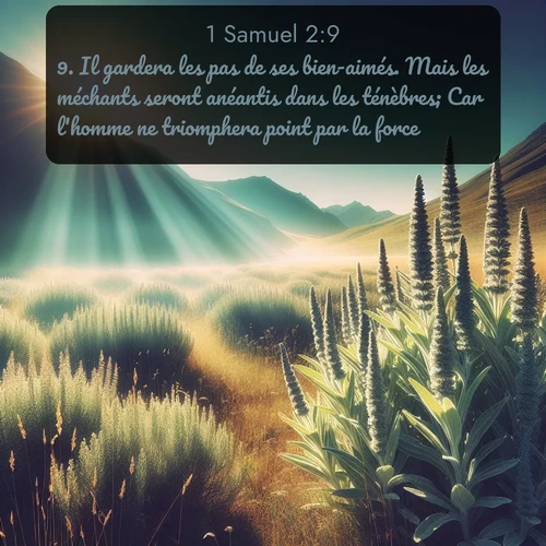 Segond 1 Samuel  ; image nature: image avec le verset biblique :Il gardera les pas de ses bien-aimés. Mais les méchants seront anéantis dans les ténèbres; Car l&#039;homme ne triomphera point par la force. ;  ; 2:9