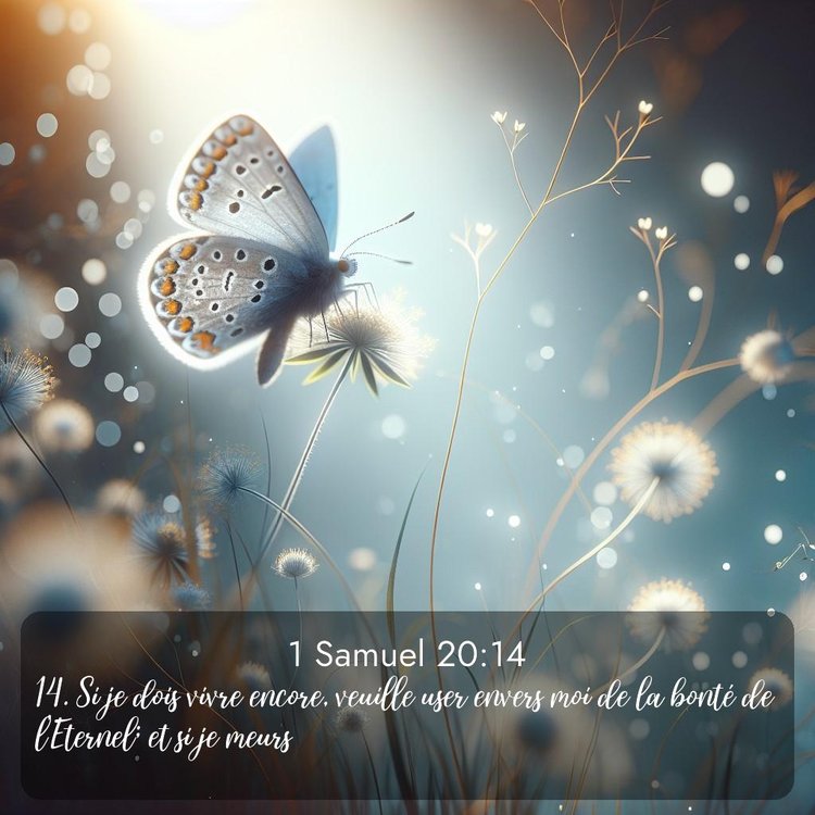 Segond 1 Samuel 20:14