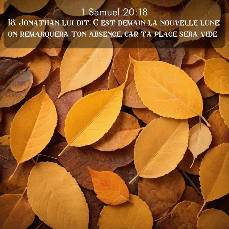 image nature avec verset biblique de la Bible