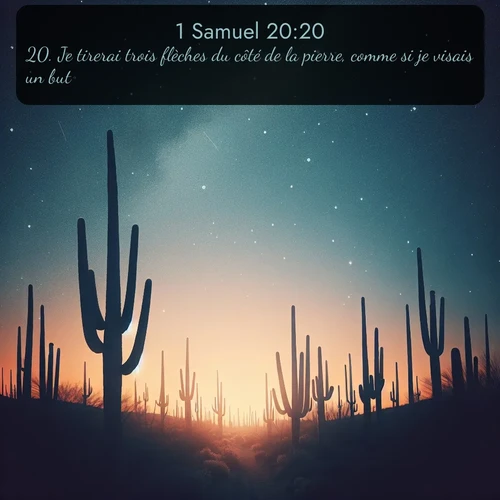 Segond 1 Samuel  ; image nature: image avec le verset biblique :Je tirerai trois flèches du côté de la pierre, comme si je visais un but. ;  ; 20:20