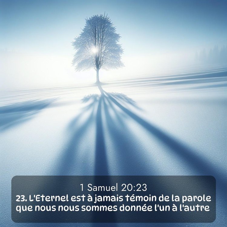 Segond 1 Samuel 20:23