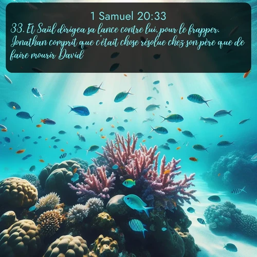 Segond 1 Samuel  ; image nature: image avec le verset biblique :Et Saül dirigea sa lance contre lui, pour le frapper. Jonathan comprit que c&#039;était chose résolue chez son père que de faire mourir David. ;  ; 20:33