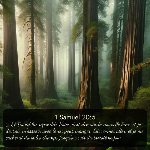 Segond 1 Samuel  ; image nature: image avec le verset biblique :Et David lui répondit: Voici, c&#039;est demain la nouvelle lune, et je devrais m&#039;asseoir avec le roi pour manger; laisse-moi aller, et je me cacherai dans les champs jusqu&#039;au soir du troisième jour. ;  ; 20:5