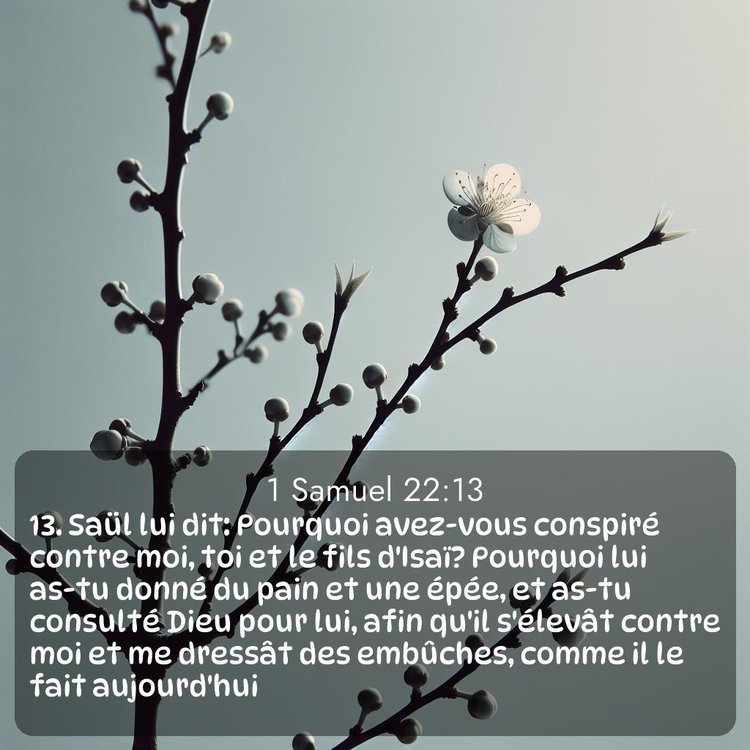 image nature avec verset biblique de la Bible