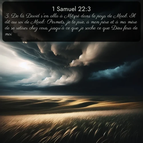 Segond 1 Samuel  ; image nature: image avec le verset biblique :De là David s&#039;en alla à Mitspé dans le pays de Moab. Il dit au roi de Moab: Permets, je te prie, à mon père et à ma mère de se retirer chez vous, jusqu&#039;à ce que je sache ce que Dieu fera de moi. ;  ; 22:3