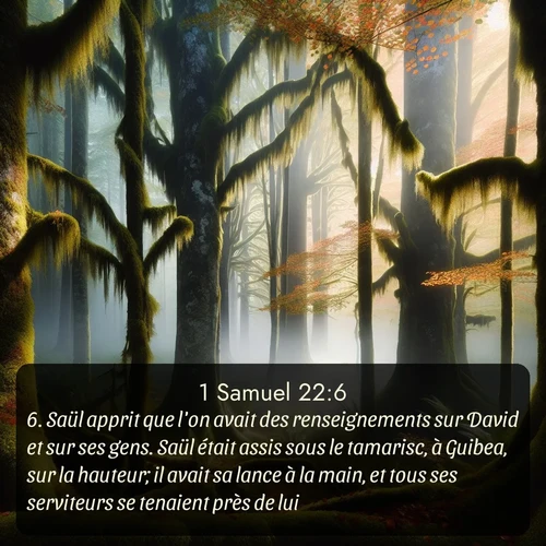 Segond 1 Samuel  ; image nature: image avec le verset biblique :Saül apprit que l&#039;on avait des renseignements sur David et sur ses gens. Saül était assis sous le tamarisc, à Guibea, sur la hauteur; il avait sa lance à la main, et tous ses serviteurs se tenaient près de lui. ;  ; 22:6