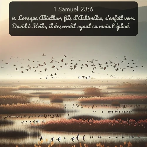 Segond 1 Samuel  ; image nature: image avec le verset biblique :Lorsque Abiathar, fils d&#039;Achimélec, s&#039;enfuit vers David à Keïla, il descendit ayant en main l&#039;éphod. ;  ; 23:6