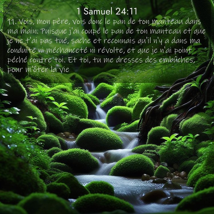 Segond 1 Samuel 24:11