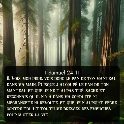 Segond 1 Samuel  ; image nature: image avec le verset biblique :Vois, mon père, vois donc le pan de ton manteau dans ma main. Puisque j&#039;ai coupé le pan de ton manteau et que je ne t&#039;ai pas tué, sache et reconnais qu&#039;il n&#039;y a dans ma conduite ni méchanceté ni révolte, et que je n&#039;ai point péché contre toi. Et toi, tu me dresses des embûches, pour m&#039;ôter la vie! ;  ; 24:11