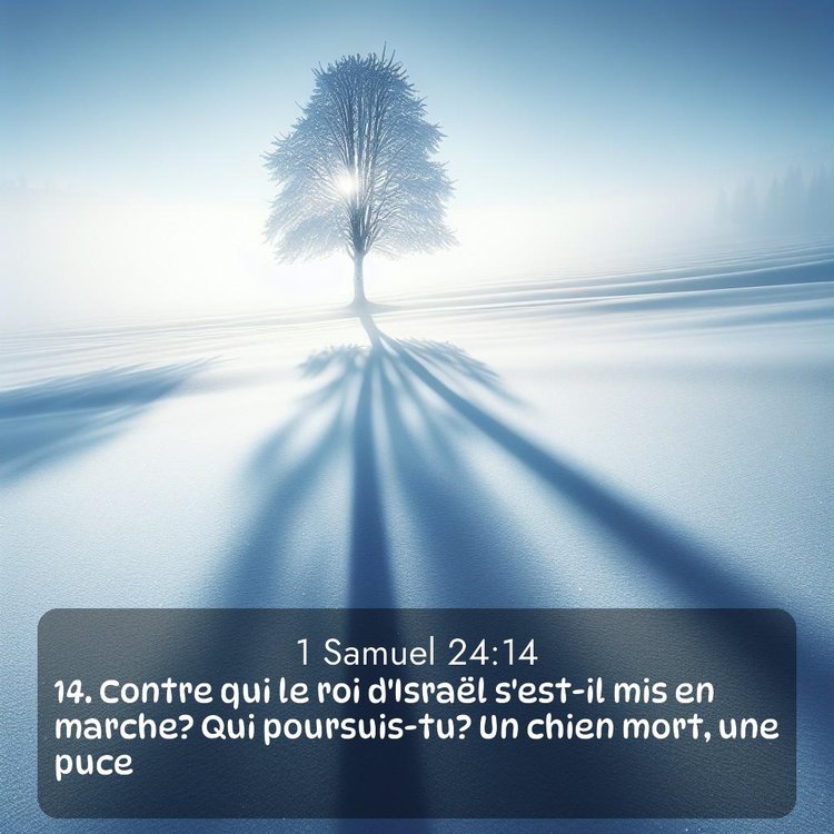 Segond 1 Samuel 24:14