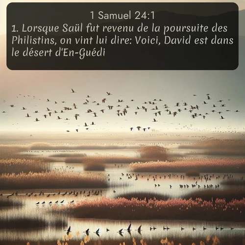 Segond 1 Samuel  ; image nature: image avec le verset biblique :Lorsque Saül fut revenu de la poursuite des Philistins, on vint lui dire: Voici, David est dans le désert d&#039;En-Guédi. ;  ; 24:1