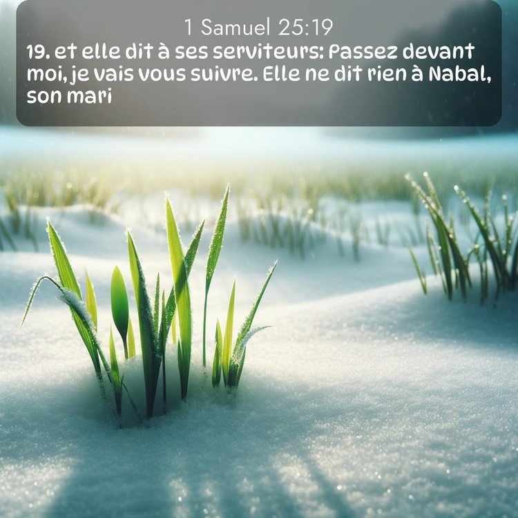 Segond 1 Samuel 25:19