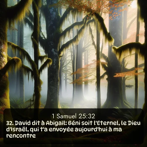 Segond 1 Samuel  ; image nature: image avec le verset biblique :David dit à Abigaïl: Béni soit l&#039;Eternel, le Dieu d&#039;Israël, qui t&#039;a envoyée aujourd&#039;hui à ma rencontre! ;  ; 25:32