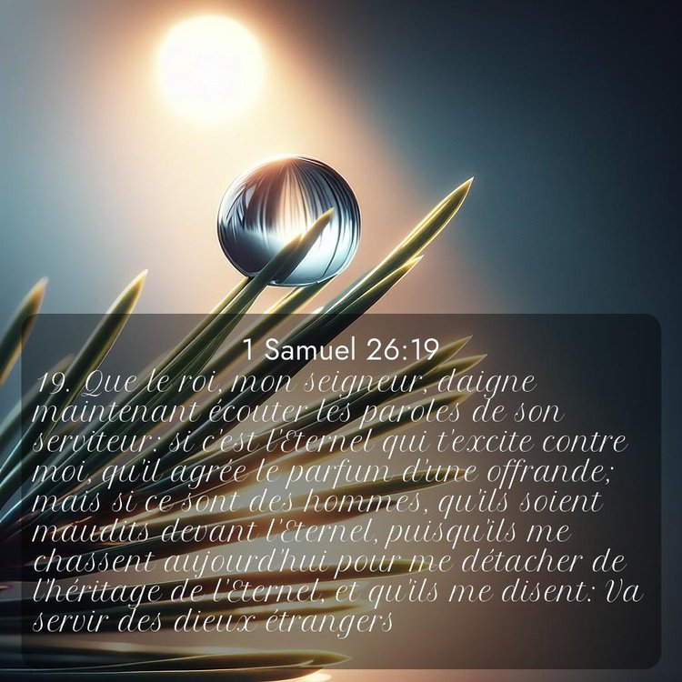 Segond 1 Samuel 26:19