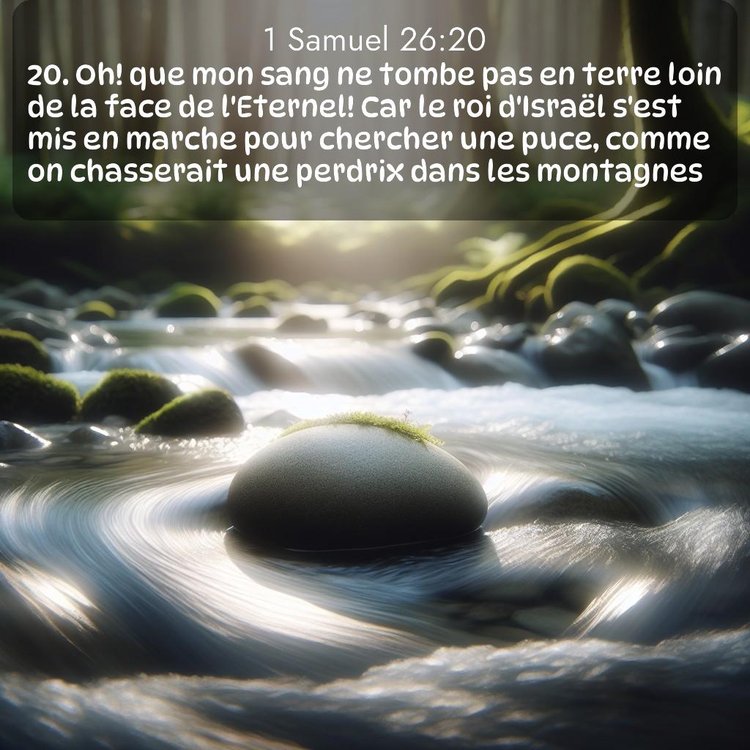 Segond 1 Samuel 26:20