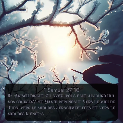 Segond 1 Samuel  ; image nature: image avec le verset biblique :Akisch disait: Où avez-vous fait aujourd&#039;hui vos courses? Et David répondait: Vers le midi de Juda, vers le midi des Jerachmeélites et vers le midi des Kéniens. ;  ; 27:10