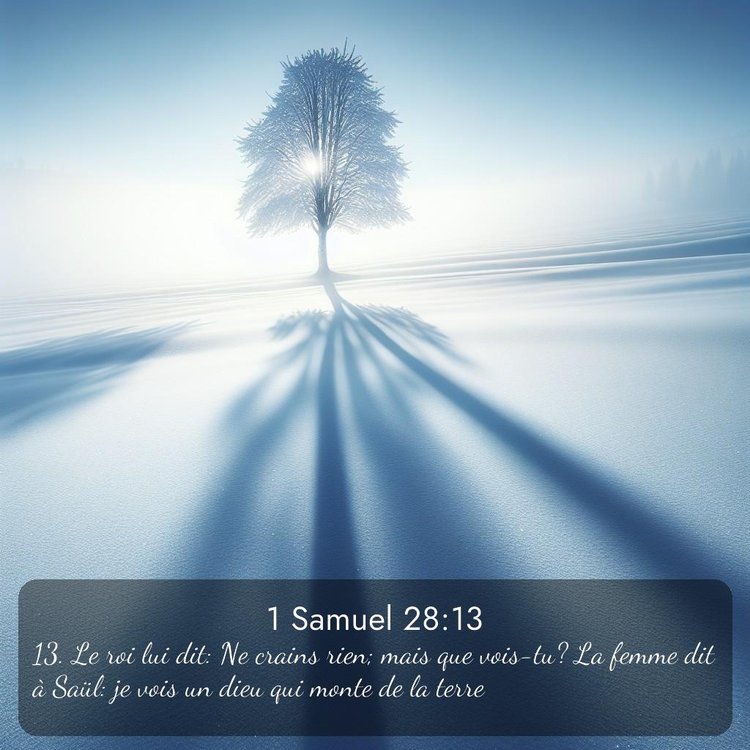 Segond 1 Samuel 28:13