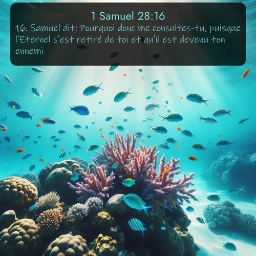 Segond 1 Samuel  ; image nature: image avec le verset biblique :Samuel dit: Pourquoi donc me consultes-tu, puisque l&#039;Eternel s&#039;est retiré de toi et qu&#039;il est devenu ton ennemi? ;  ; 28:16