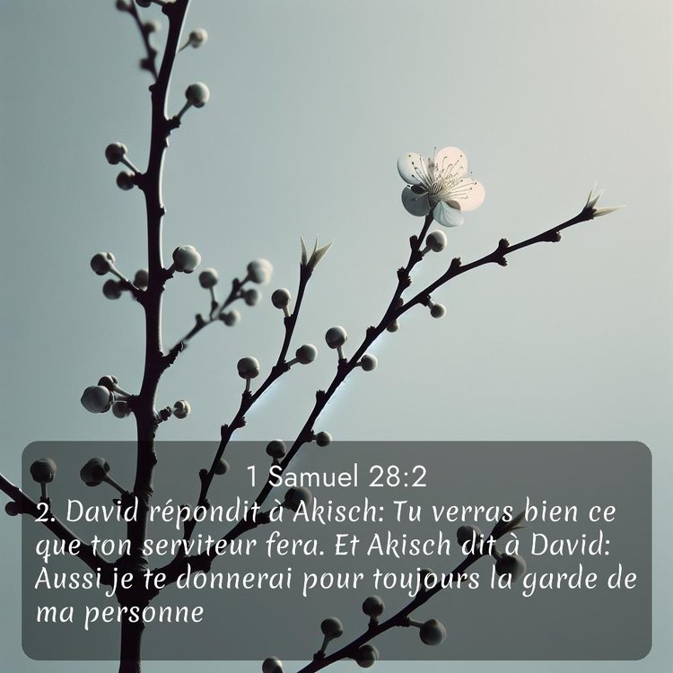 image nature avec verset biblique de la Bible