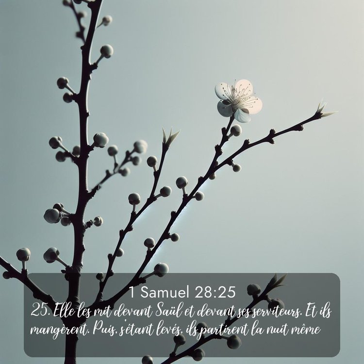 image nature avec verset biblique de la Bible