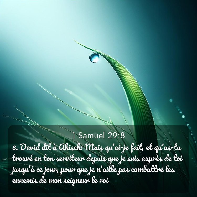 image nature avec verset biblique de la Bible