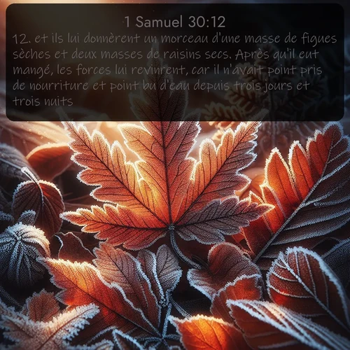 Segond 1 Samuel  ; image nature: image avec le verset biblique :et ils lui donnèrent un morceau d&#039;une masse de figues sèches et deux masses de raisins secs. Après qu&#039;il eut mangé, les forces lui revinrent, car il n&#039;avait point pris de nourriture et point bu d&#039;eau depuis trois jours et trois nuits. ;  ; 30:12