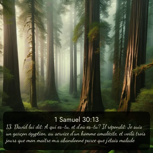 Segond 1 Samuel  ; image nature: image avec le verset biblique :David lui dit: A qui es-tu, et d&#039;où es-tu? Il répondit: Je suis un garçon égyptien, au service d&#039;un homme amalécite, et voilà trois jours que mon maître m&#039;a abandonné parce que j&#039;étais malade. ;  ; 30:13