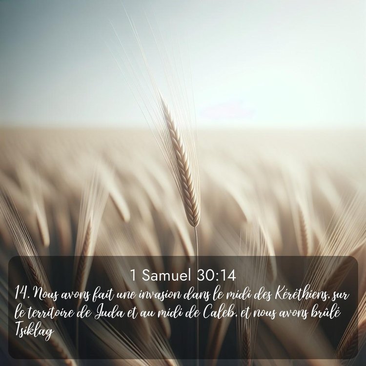 Segond 1 Samuel 30:14