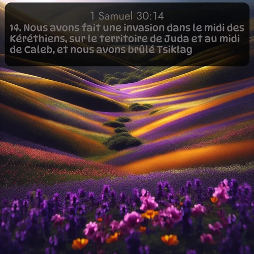 Segond 1 Samuel  ; image nature: image avec le verset biblique :Nous avons fait une invasion dans le midi des Kéréthiens, sur le territoire de Juda et au midi de Caleb, et nous avons brûlé Tsiklag. ;  ; 30:14