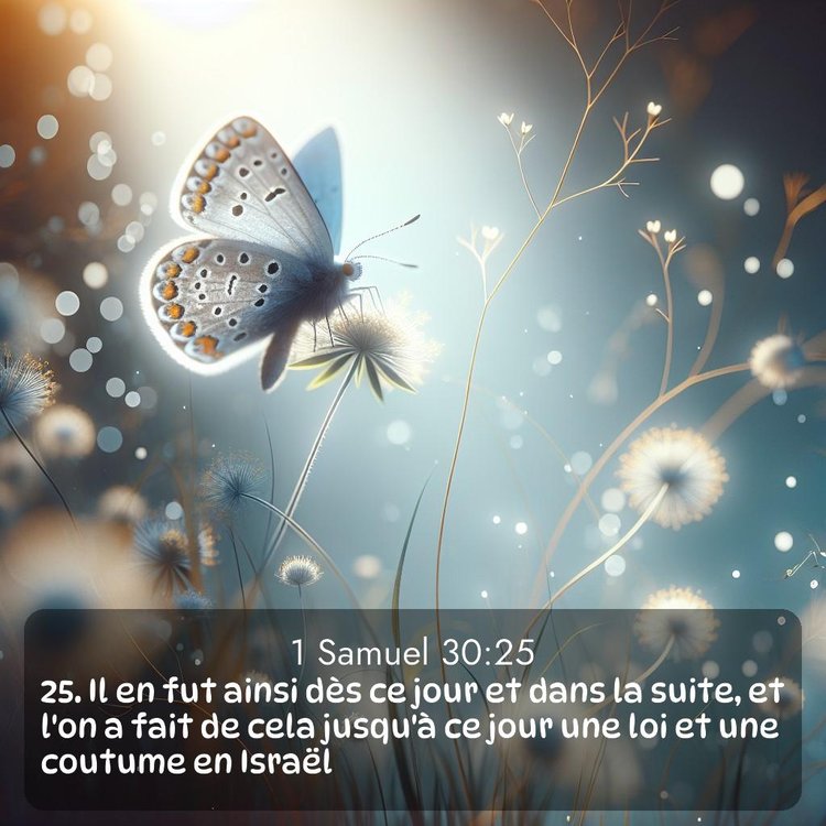 Segond 1 Samuel 30:25