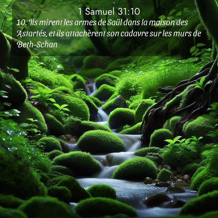 image nature avec verset biblique de la Bible