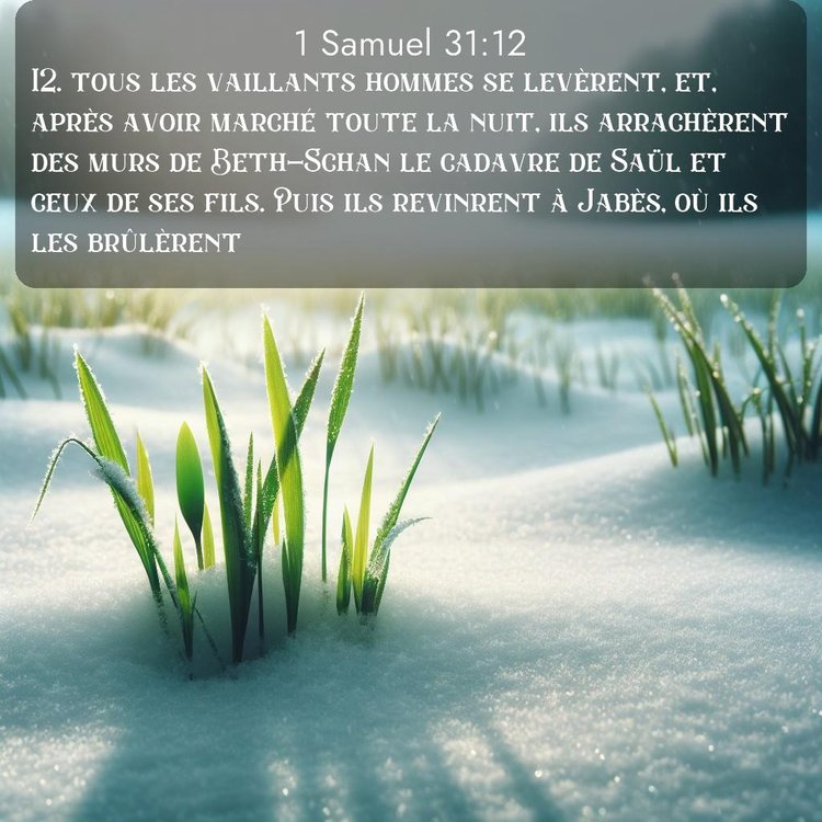 image nature avec verset biblique de la Bible