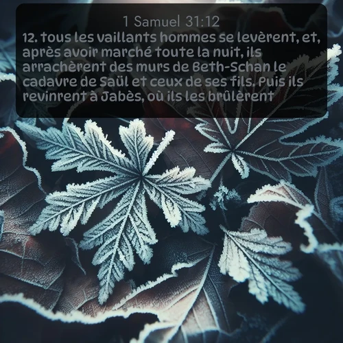 Segond 1 Samuel  ; image nature: image avec le verset biblique :tous les vaillants hommes se levèrent, et, après avoir marché toute la nuit, ils arrachèrent des murs de Beth-Schan le cadavre de Saül et ceux de ses fils. Puis ils revinrent à Jabès, où ils les brûlèrent; ;  ; 31:12