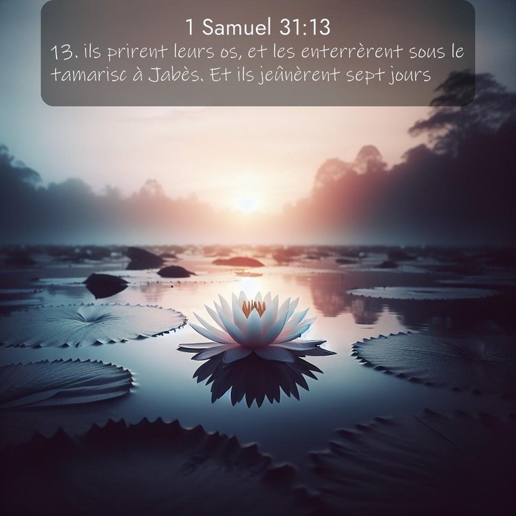 Segond 1 Samuel 31:13