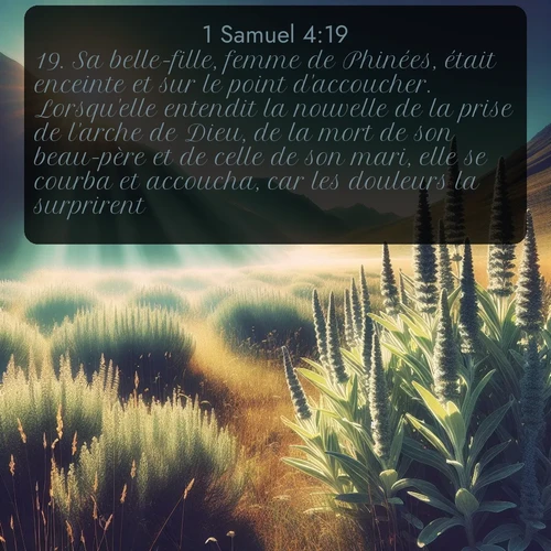 Segond 1 Samuel  ; image nature: image avec le verset biblique :Sa belle-fille, femme de Phinées, était enceinte et sur le point d&#039;accoucher. Lorsqu&#039;elle entendit la nouvelle de la prise de l&#039;arche de Dieu, de la mort de son beau-père et de celle de son mari, elle se courba et accoucha, car les douleurs la surprirent. ;  ; 4:19