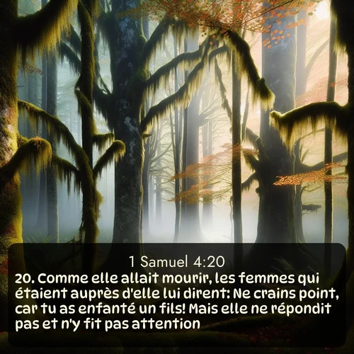 Segond 1 Samuel  ; image nature: image avec le verset biblique :Comme elle allait mourir, les femmes qui étaient auprès d&#039;elle lui dirent: Ne crains point, car tu as enfanté un fils! Mais elle ne répondit pas et n&#039;y fit pas attention. ;  ; 4:20