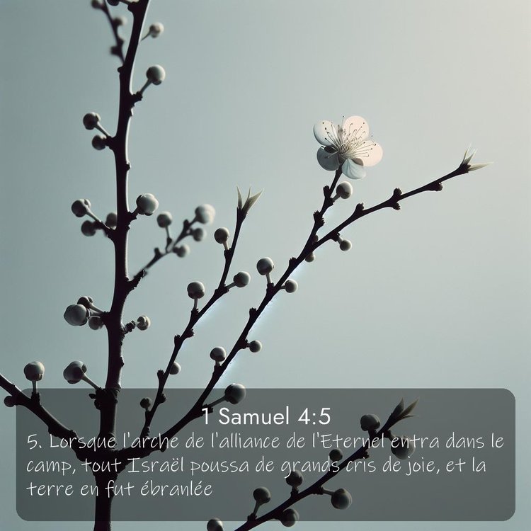 image nature avec verset biblique de la Bible