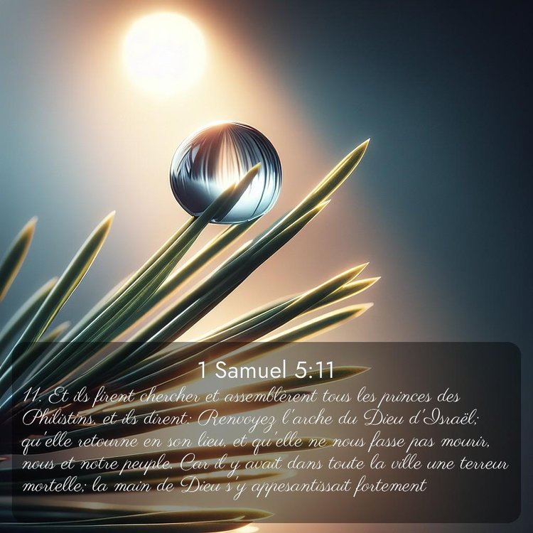 image nature avec verset biblique de la Bible