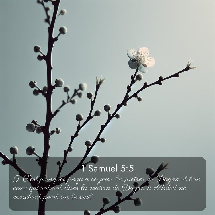 image nature avec verset biblique de la Bible