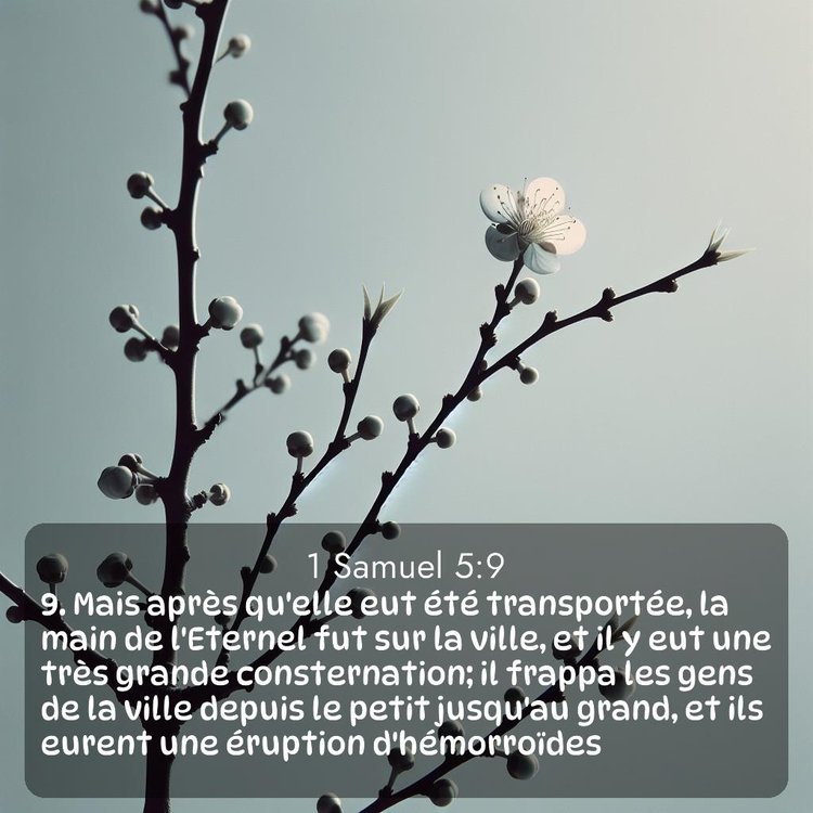 image nature avec verset biblique de la Bible