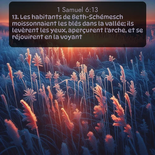 Segond 1 Samuel  ; image nature: image avec le verset biblique :Les habitants de Beth-Schémesch moissonnaient les blés dans la vallée; ils levèrent les yeux, aperçurent l&#039;arche, et se réjouirent en la voyant. ;  ; 6:13