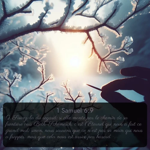 Segond 1 Samuel  ; image nature: image avec le verset biblique :Suivez-la du regard: si elle monte par le chemin de sa frontière vers Beth-Schémesch, c&#039;est l&#039;Eternel qui nous a fait ce grand mal; sinon, nous saurons que ce n&#039;est pas sa main qui nous a frappés, mais que cela nous est arrivé par hasard. ;  ; 6:9