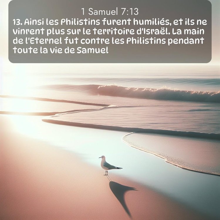 Segond 1 Samuel 7:13