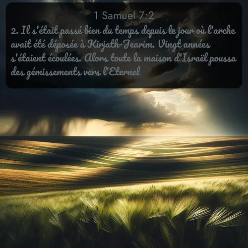 Segond 1 Samuel  ; image nature: image avec le verset biblique :Il s&#039;était passé bien du temps depuis le jour où l&#039;arche avait été déposée à Kirjath-Jearim. Vingt années s&#039;étaient écoulées. Alors toute la maison d&#039;Israël poussa des gémissements vers l&#039;Eternel. ;  ; 7:2