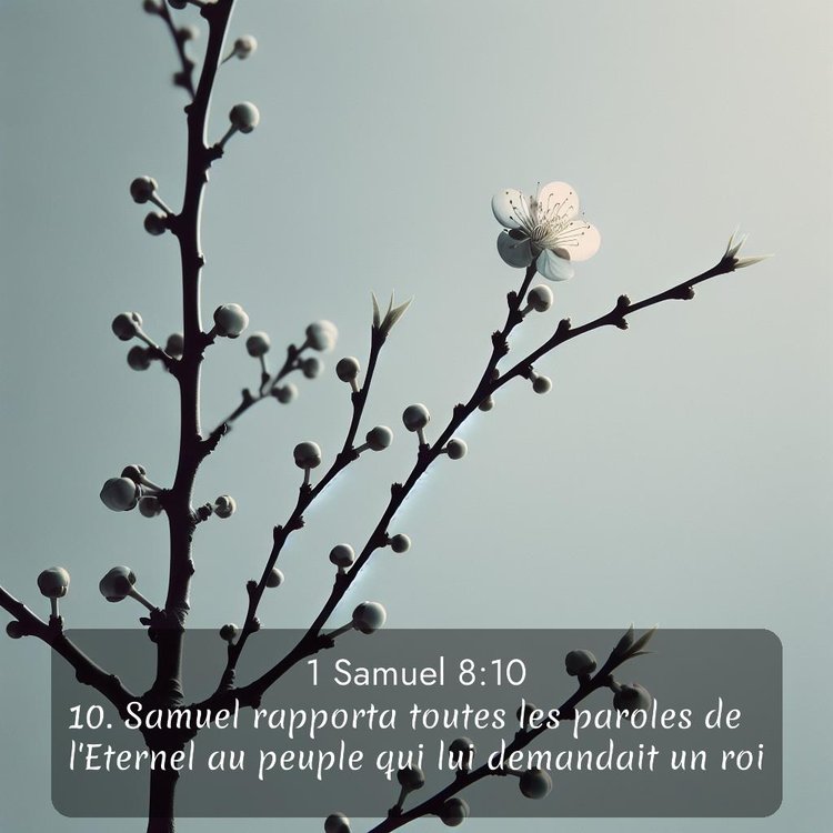 image nature avec verset biblique de la Bible