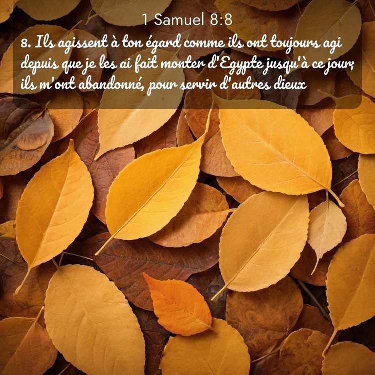 Segond 1 Samuel 8:8