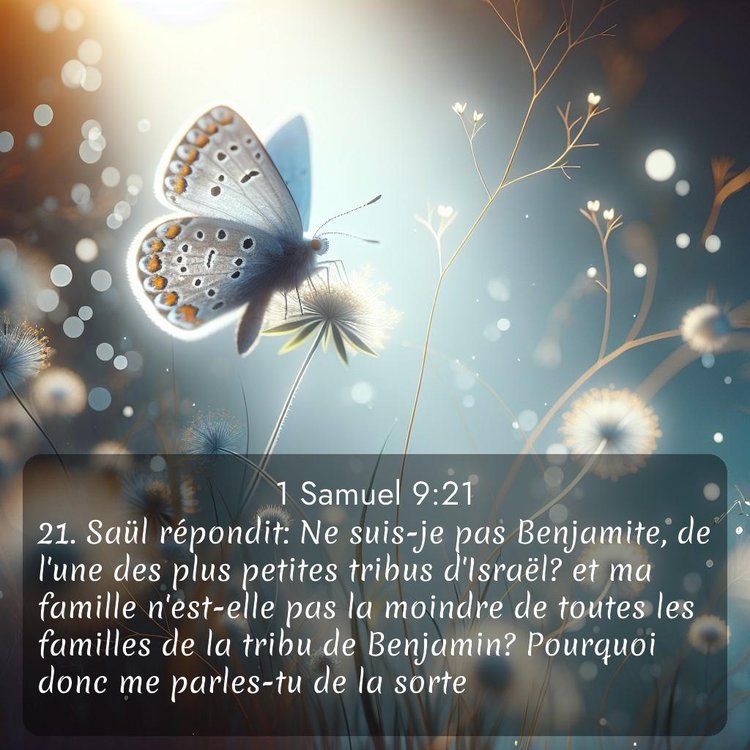 image nature avec verset biblique de la Bible
