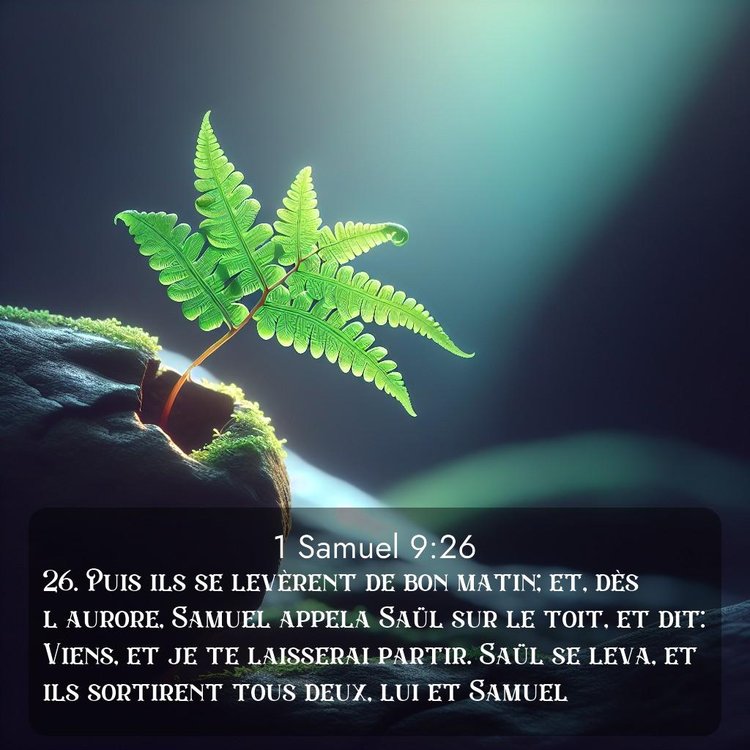 image nature avec verset biblique de la Bible
