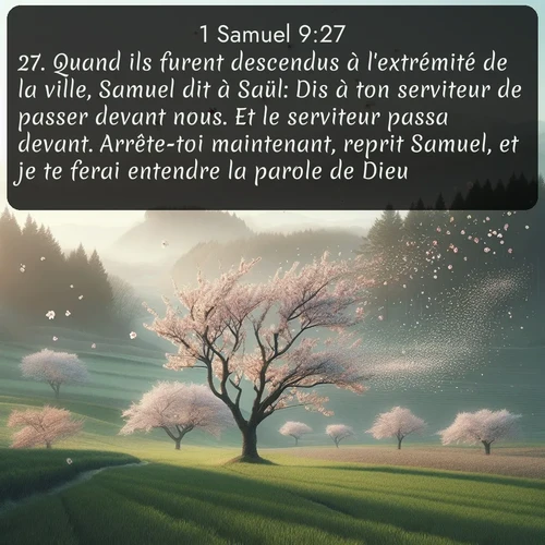 Segond 1 Samuel  ; image nature: image avec le verset biblique :Quand ils furent descendus à l&#039;extrémité de la ville, Samuel dit à Saül: Dis à ton serviteur de passer devant nous. Et le serviteur passa devant. Arrête-toi maintenant, reprit Samuel, et je te ferai entendre la parole de Dieu. ;  ; 9:27